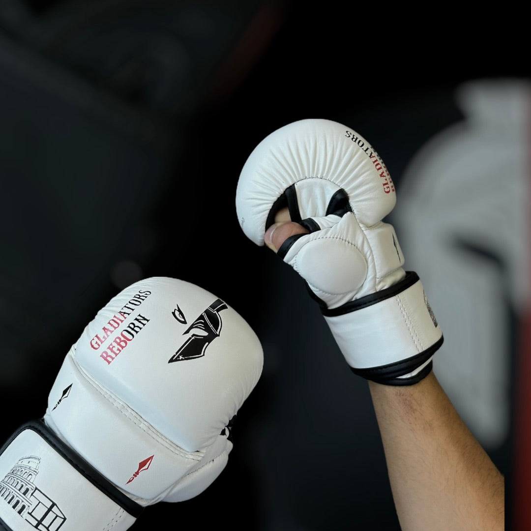 Mma sparring gloves White edition