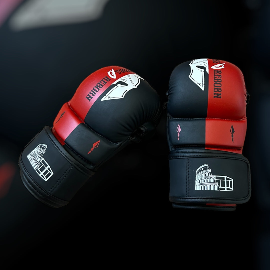 MMA sparring gloves