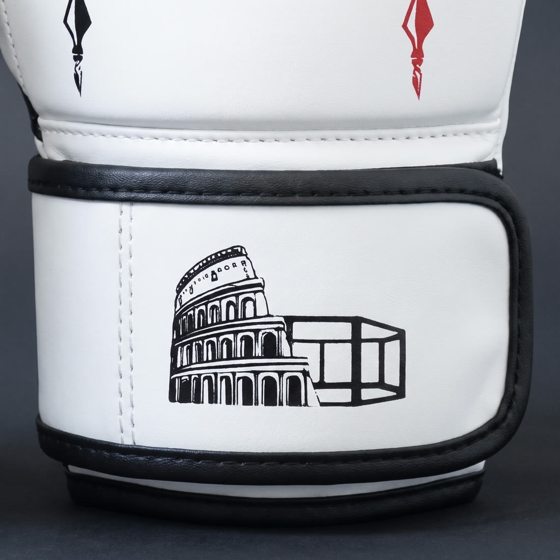MMA Sparring Gloves, White Edition, photo 6