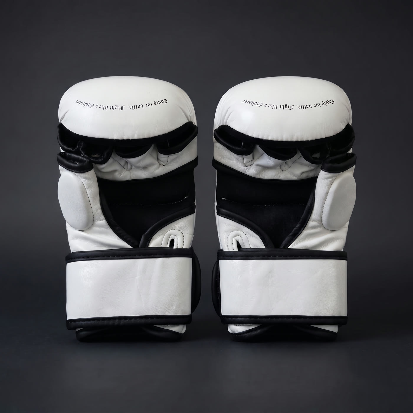 MMA Sparring Gloves, White Edition, photo 4